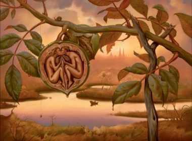 08b282bed88832c9197a25b1ea22b623_XL