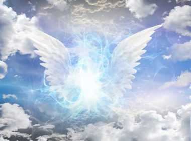 178b18db65e88fed550c2f013fd8f156_XL