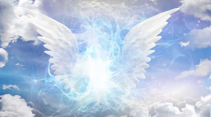 178b18db65e88fed550c2f013fd8f156_XL