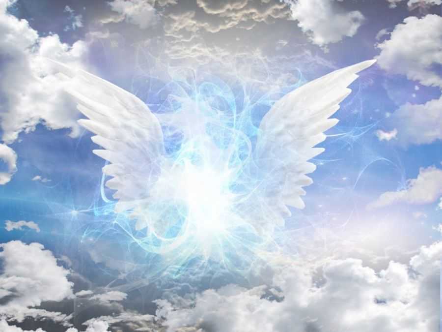 178b18db65e88fed550c2f013fd8f156_XL