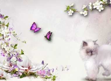 349171__floral-ambition_p