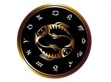 8bcf0d5d5c6df1f8ff7a8fe6cfc121f0_XL