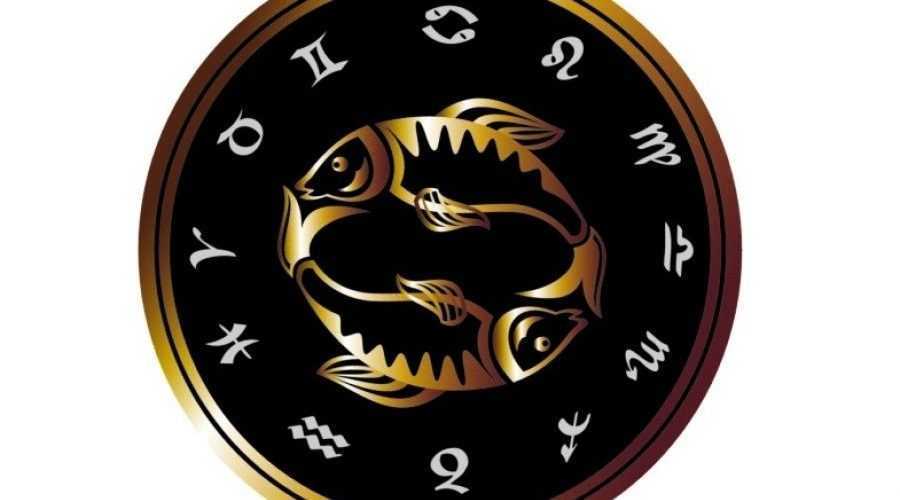 8bcf0d5d5c6df1f8ff7a8fe6cfc121f0_XL