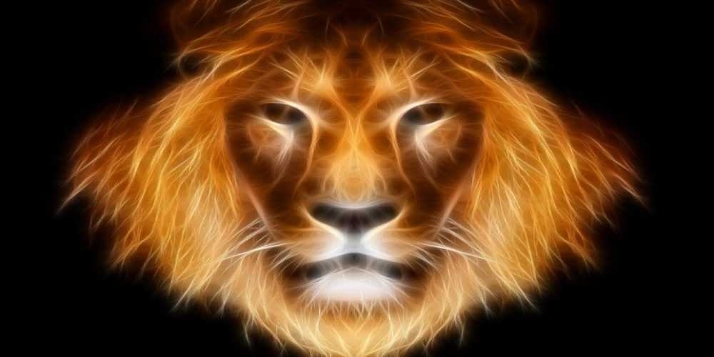 miniaies-provlepseis-lewn