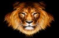 miniaies-provlepseis-lewn