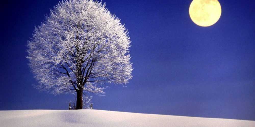 Winter-Night-with-Full-Moon-1440×1080-wide-wallpapers.net
