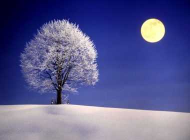 Winter-Night-with-Full-Moon-1440×1080-wide-wallpapers.net