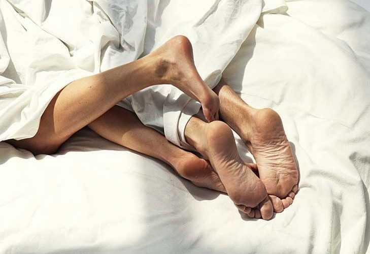 ti-eidoys-syntrofo-xreiazetai-to-kathe-zwdio