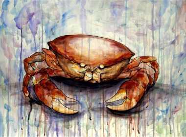 miniaies-erwtikes-karkinos