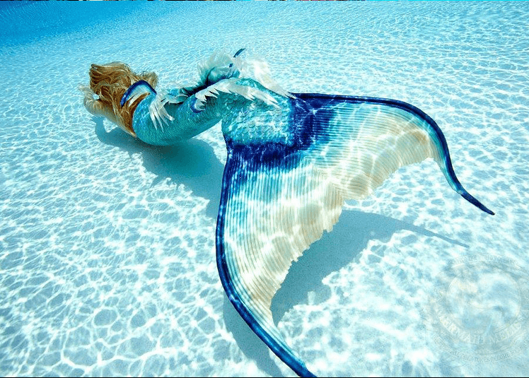 ζωδια-ωροσκοπος-3