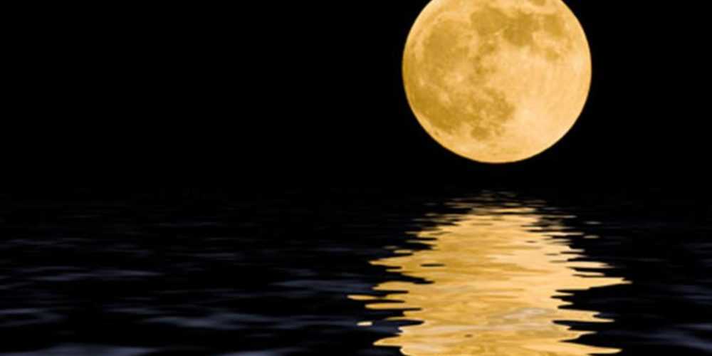 picture-115255590642