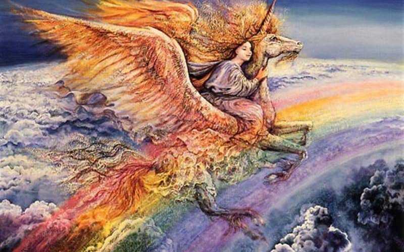 zhozefina-uoll-zm-46