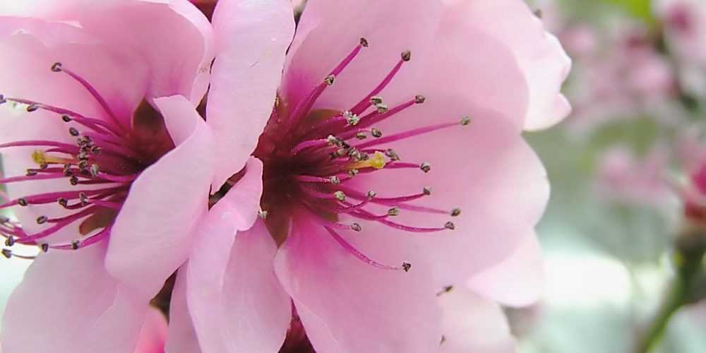 astrologia-aprilios-2014