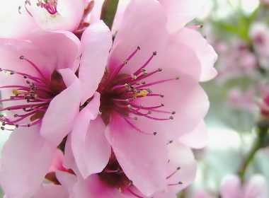 astrologia-aprilios-2014