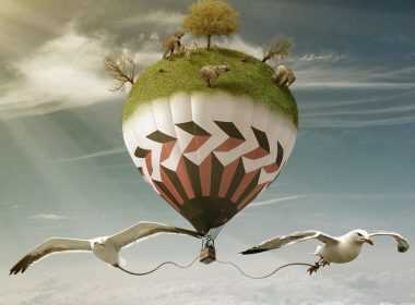 imerisies-19314-zwdia