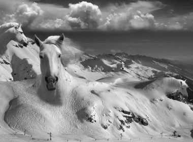 imerisies-27314-zvdio