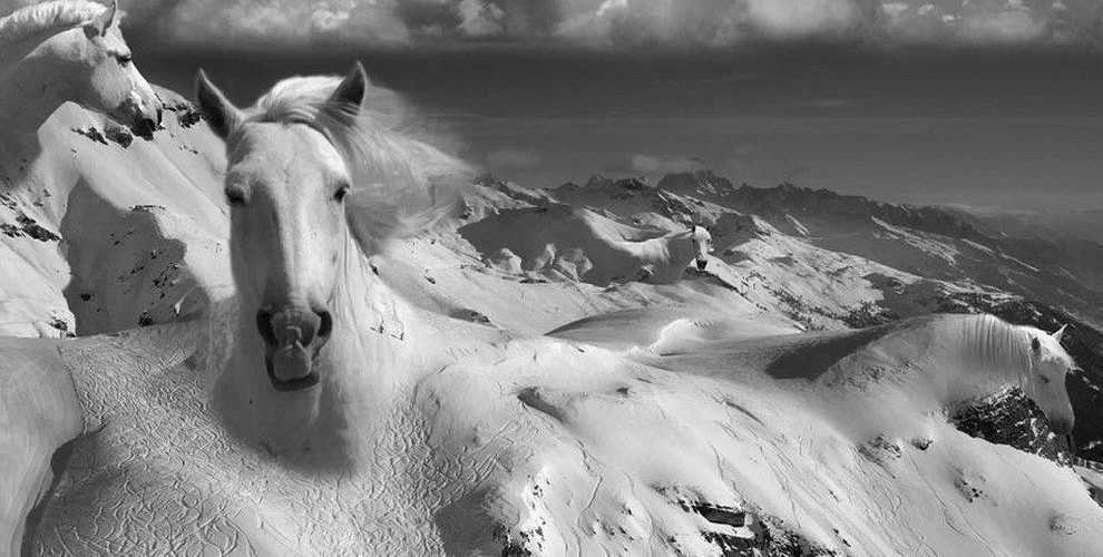 imerisies-27314-zvdio