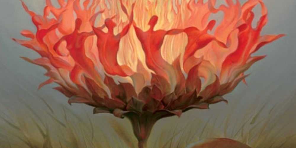 imerisies-28314-zvdia