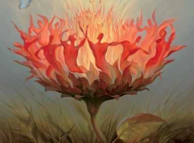 imerisies-28314-zvdia