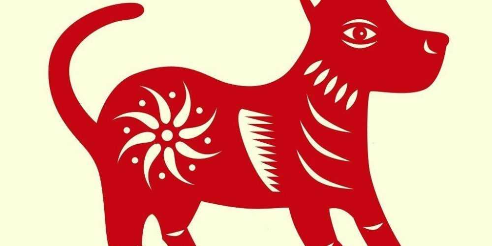 kineziko-wroskopio-skylos