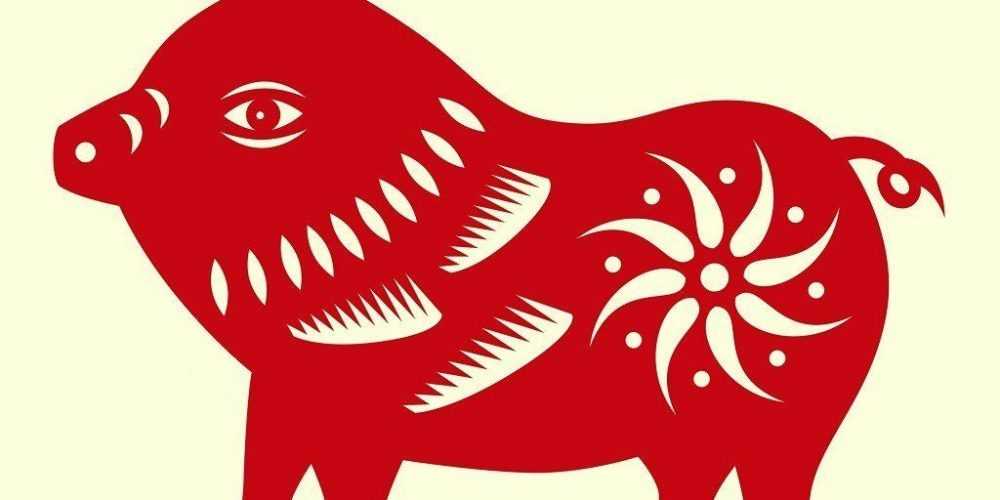 kinezika-zwdia-xoiros