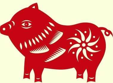 kinezika-zwdia-xoiros