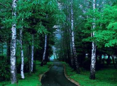 test-anakalpse-sxesi