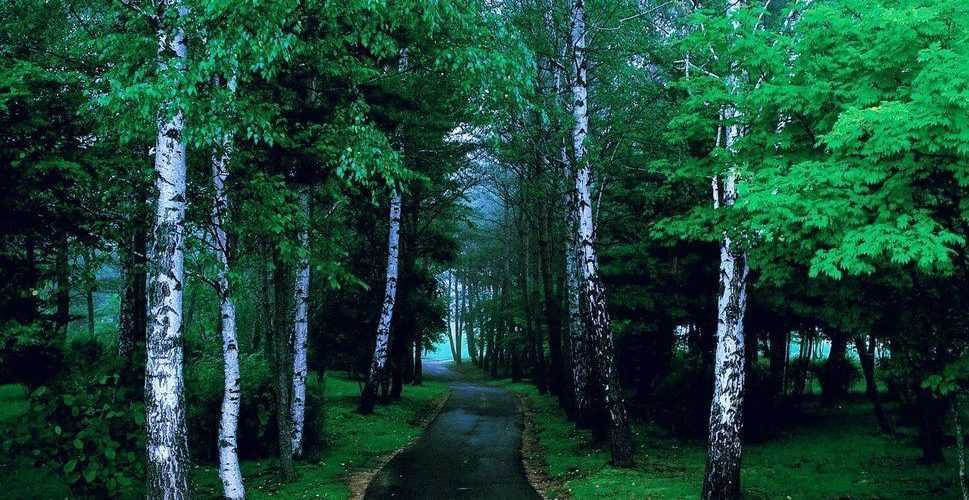 test-anakalpse-sxesi