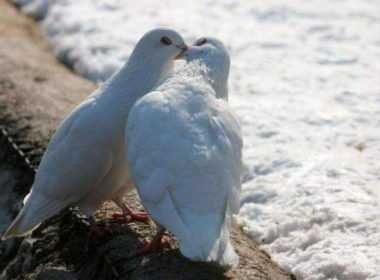 erwtikes-provlepseis-deytera-28-4