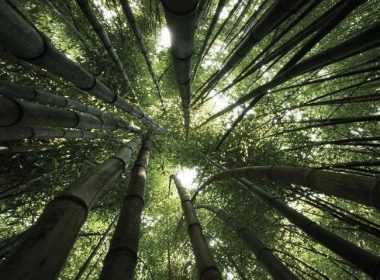 imerisies-provlepseis-paraskeyi-18-4-14