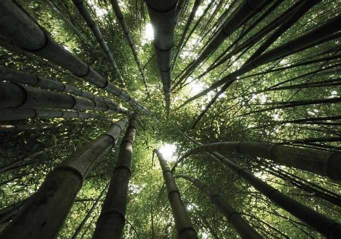 imerisies-provlepseis-paraskeyi-18-4-14