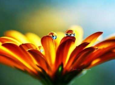 imerisies-provlepseis-tetarti-16-4-14