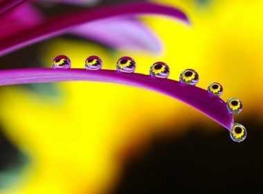 imerisies-provlepseis-triti-22-4