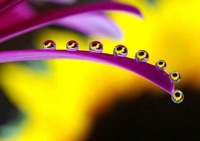 imerisies-provlepseis-triti-22-4