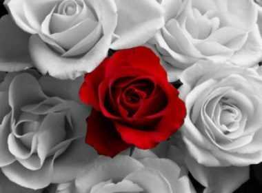 erwtikes-provlepseis-triti-6-5