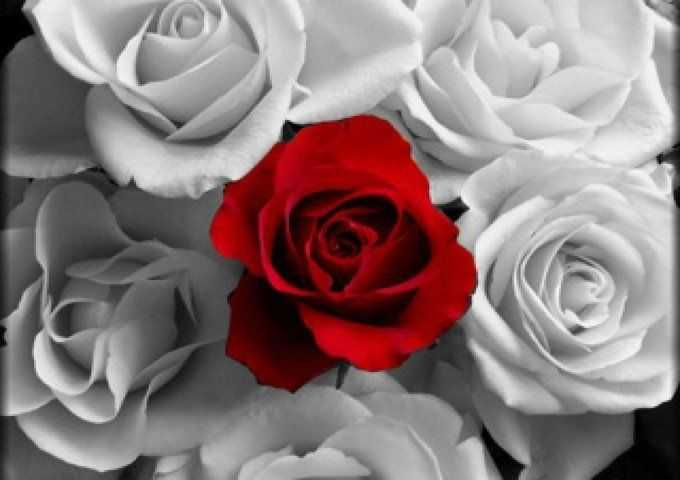 erwtikes-provlepseis-triti-6-5