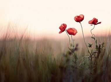 imerisies-provlepseis-kyriaki-4-5