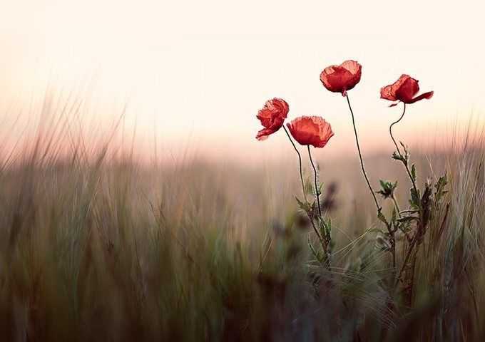 imerisies-provlepseis-kyriaki-4-5