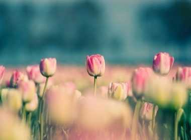 imerisies-provlepseis-paraskeyi-9-5