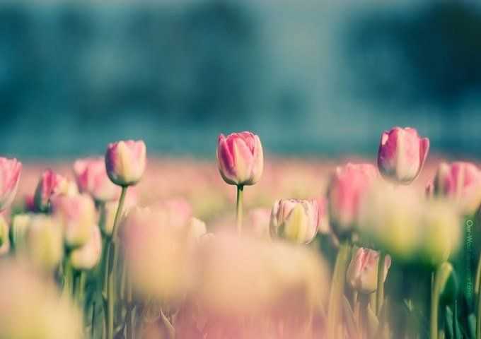 imerisies-provlepseis-paraskeyi-9-5