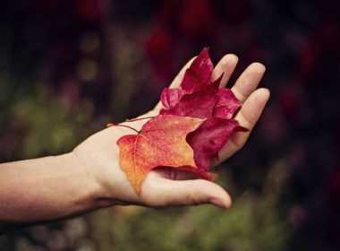 imerisies-provlepseis-pempti-15-5