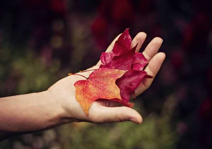 imerisies-provlepseis-pempti-15-5