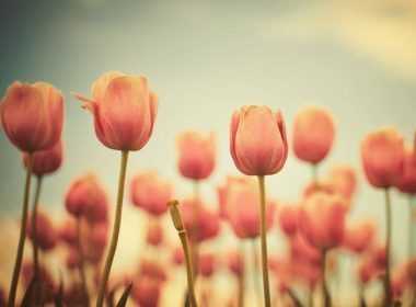 imerisies-provlepseis-pempti-8-5