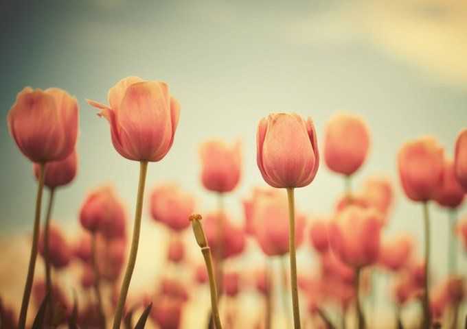 imerisies-provlepseis-pempti-8-5