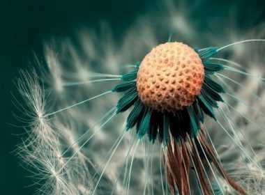 imerisies-provlepseis-savvato-10-5