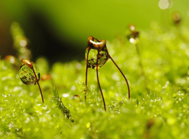 imerisies-provlepseis-tetarti-7-5