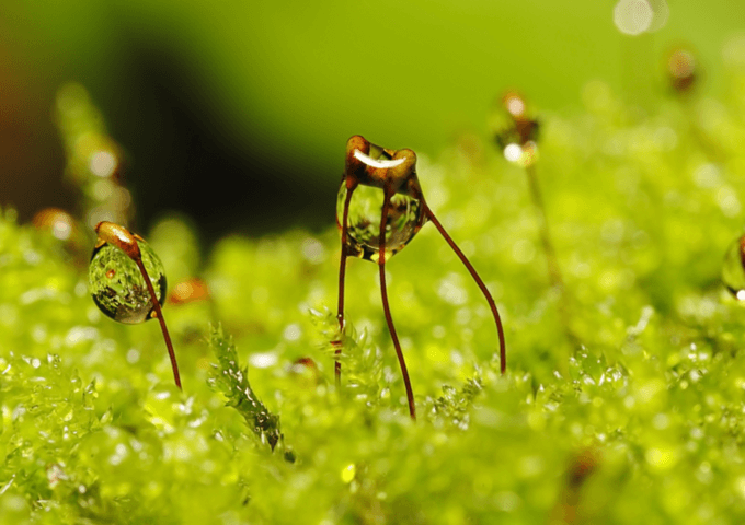 imerisies-provlepseis-tetarti-7-5