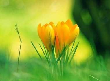 imerisies-provlepseis-triti-13-5