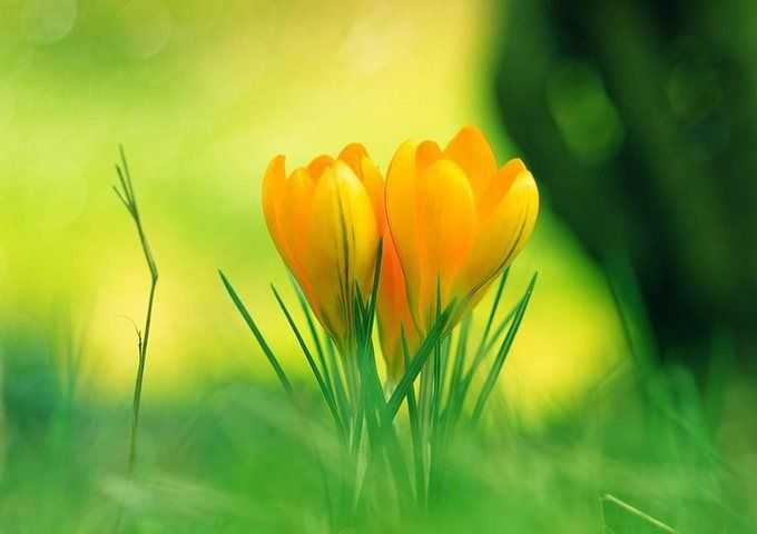 imerisies-provlepseis-triti-13-5