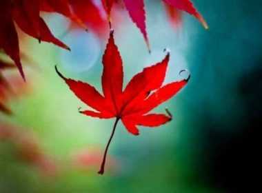 imerisies-provlepseis-triti-20-5-2014